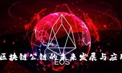 TT币：区块链公链的未来发展与应用前景