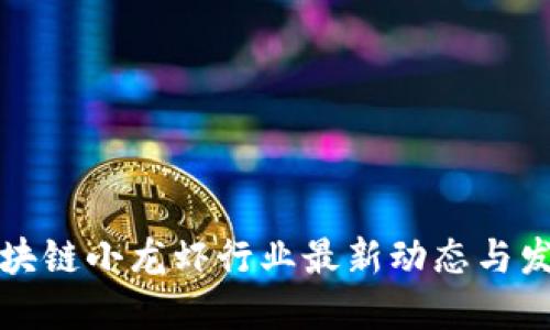 深圳区块链小龙虾行业最新动态与发展趋势
