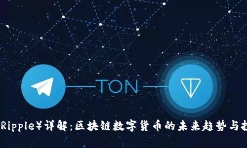 瑞波币（Ripple）详解：区块链数字货币的未来趋势与投资价值
