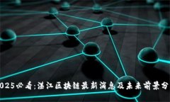 2025必看：湛江区块链最新消息及未来前景分析