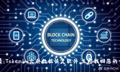 2025必看：Tokenim文件数据恢复软件，立即找回您的重要文件！