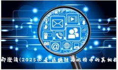 立即澄清！2025必看：区块链与比特币的真相揭晓