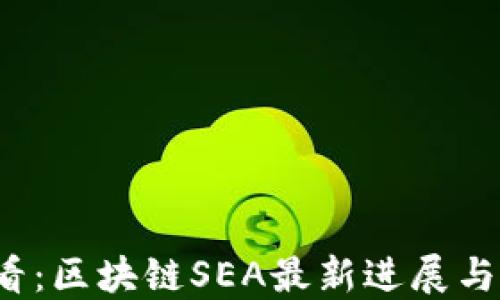 
2025必看：区块链SEA最新进展与未来展望
