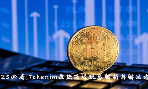 2025必看：Tokenim收款延迟现象解析与解决方案
