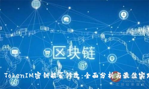 : TokenIM密钥能否修改：全面分析与最佳实践