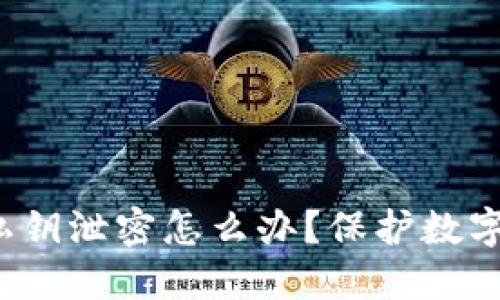 imToken 2.0 私钥泄密怎么办？保护数字资产的全面指南