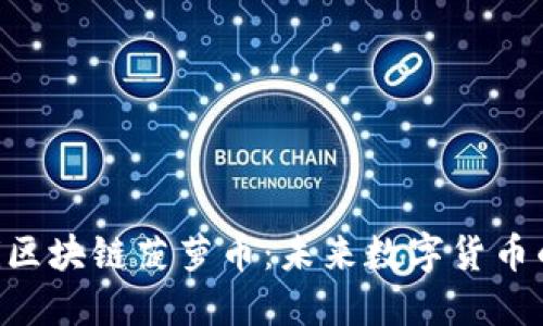 ziaoti区块链菠萝币：未来数字货币的明珠