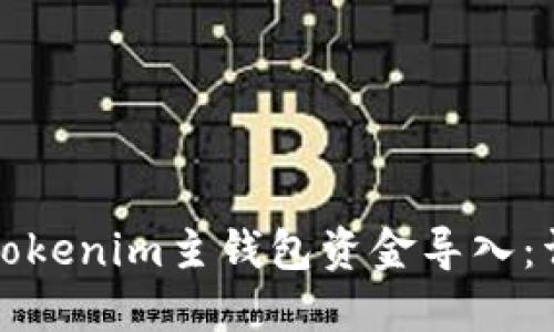 如何将Tokenim主钱包资金导入：详细指南