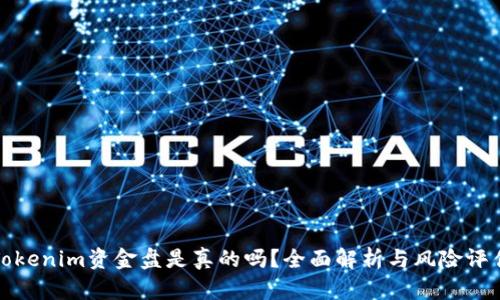 Tokenim资金盘是真的吗？全面解析与风险评估