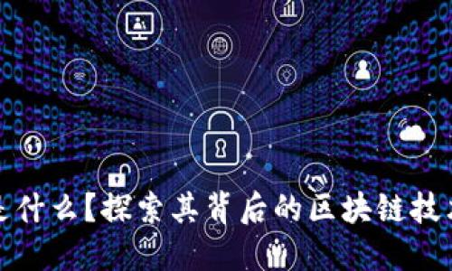 超龄币是什么？探索其背后的区块链技术与应用