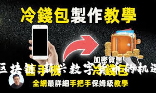 中巴币区块链：新兴数字货币的机遇与挑战