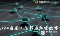 : 全面解析tokenimTRX通道U：怎样在加密数字货币交