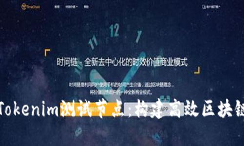 深入了解Tokenim测试节点：构建高效区块链开发环境