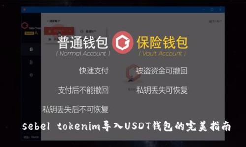  sebel tokenim导入USDT钱包的完美指南
