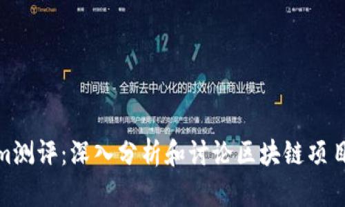 Tokenim测评：深入分析和讨论区块链项目的表现