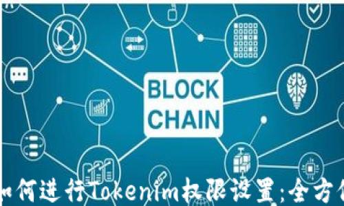 
code如何进行Tokenim权限设置：全方位指南