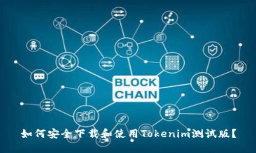 如何安全下载和使用Tokenim测试版？