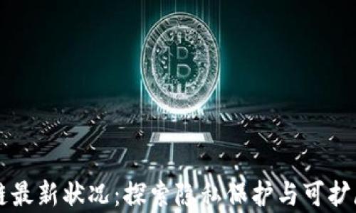 
绿洲区块链最新状况：探索隐私保护与可扩展性的前沿