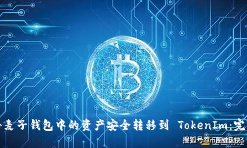 如何将麦子钱包中的资产安全转移到 TokenIm：完整指南