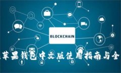 imToken苹果钱包中文版使用指南与全方位解析