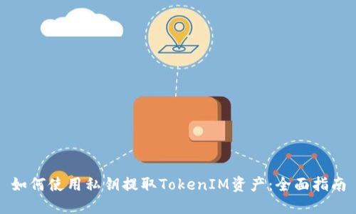 如何使用私钥提取TokenIM资产：全面指南
