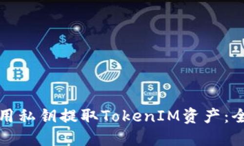如何使用私钥提取TokenIM资产：全面指南