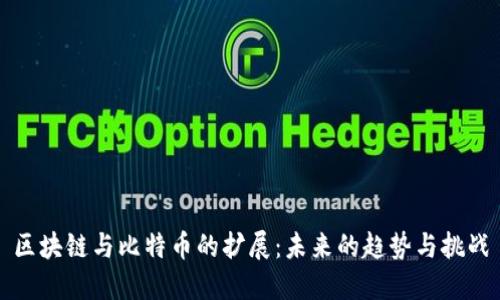 区块链与比特币的扩展：未来的趋势与挑战